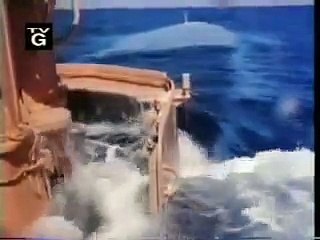 Operation Petticoat | show | 1977 | Official Clip