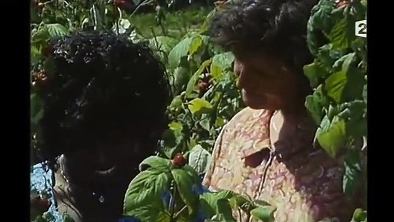 La Vierge noire | show | 1990 | Official Clip