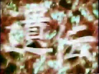 The Spiral | show | 1999 | Official Clip