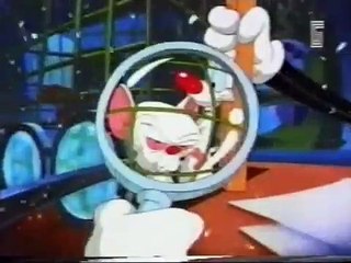 פינקי והמוח | show | 1995 | Official Clip