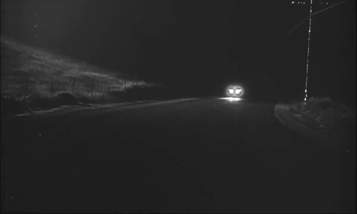 Rattennest | movie | 1955 | Official Trailer