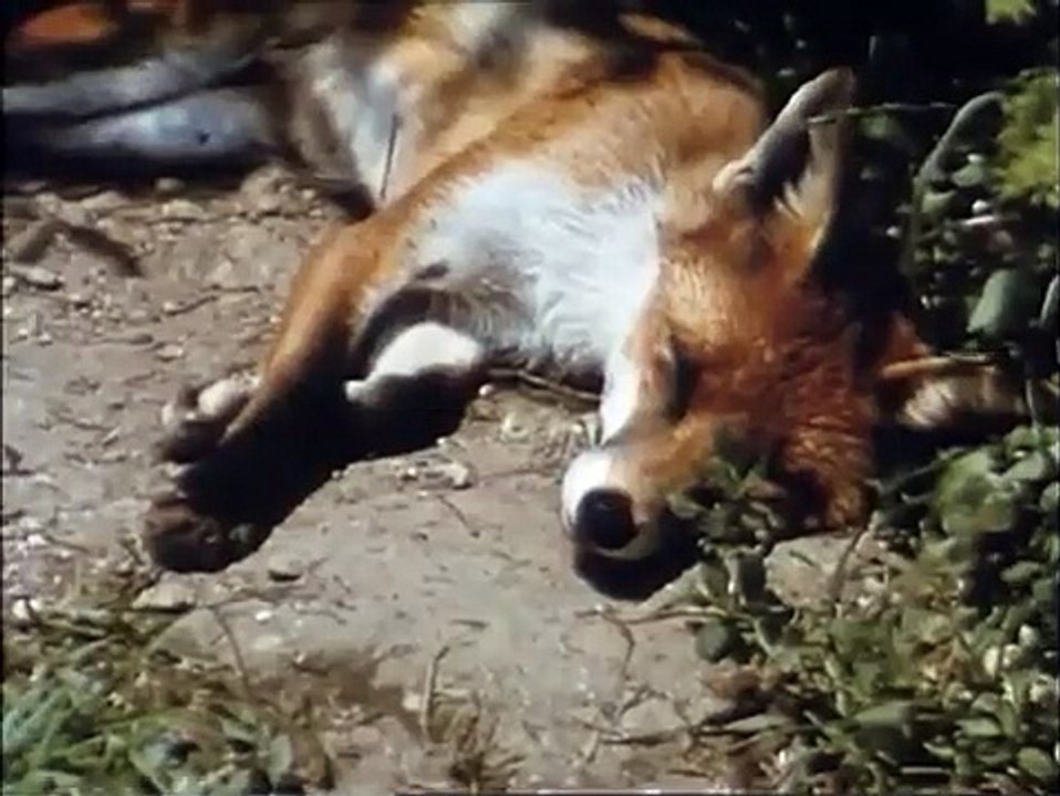 Manta - Der Film | movie | 1991 | Official Trailer