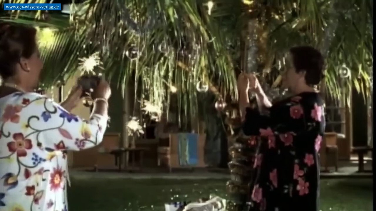O Palmenbaum | movie | 2000 | Official Trailer