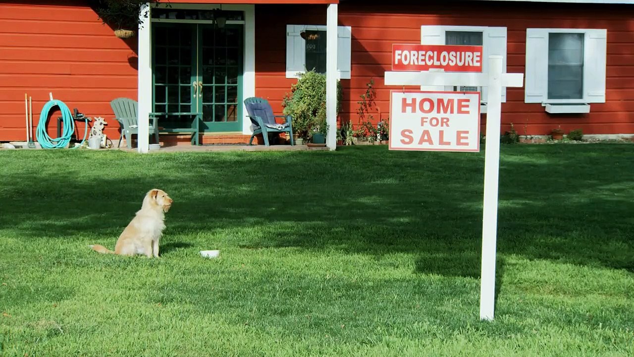 Mein Freund Smitty - Ein tierisches Abenteuer | movie | 2015 | Official Trailer