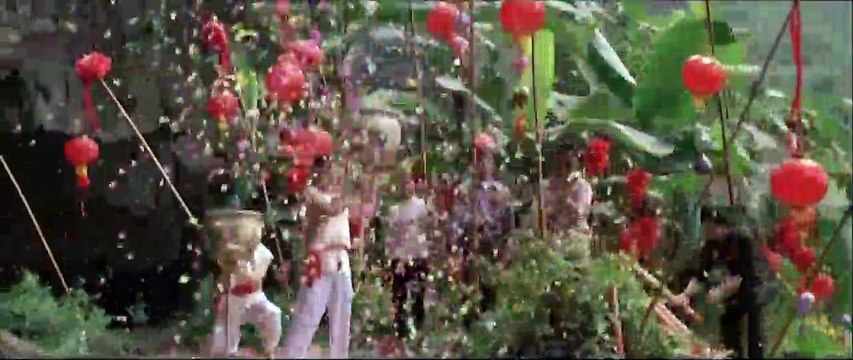 Die Töchter des chinesischen Gärtners | movie | 2006 | Official Trailer