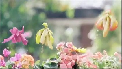 Die Geheimnisse der Spiderwicks | movie | 2008 | Official Trailer