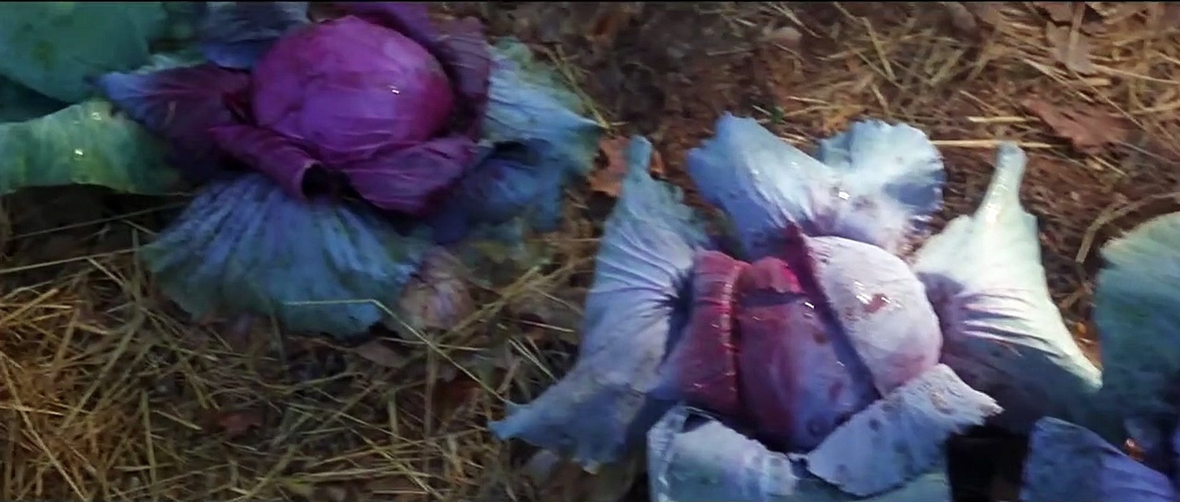 The Curse | movie | 1988 | Official Trailer