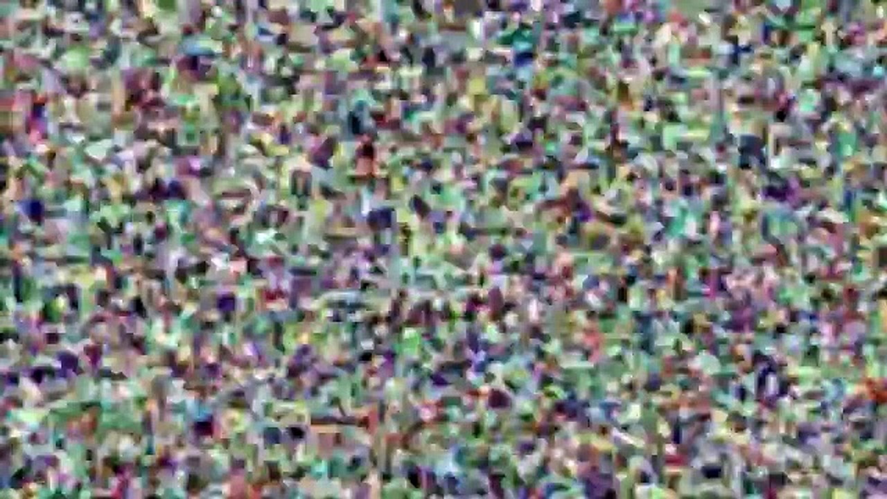 Pontypool | movie | 2009 | Official Trailer