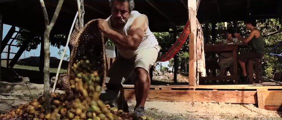 A Floresta de Jonathas - Im dunklen Grün | movie | 2014 | Official Trailer