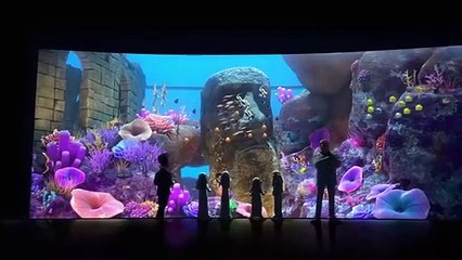 Sammy 2 - La grande fuga | movie | 2012 | Official Trailer