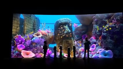 Sammy 2: A Grande Fuga | movie | 2012 | Official Trailer