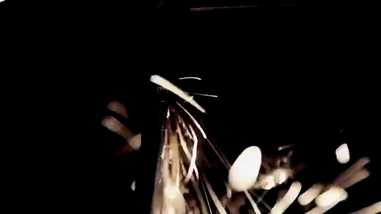 Daddy's Little Girl | movie | 2014 | Official Trailer