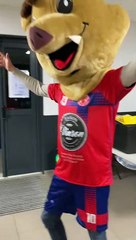 Nouveaux maillots loisirs