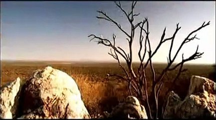 Prey - La caccia è aperta | movie | 2007 | Official Trailer
