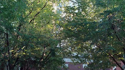 Wen die Geister lieben | movie | 2008 | Official Clip