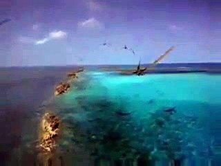 Monstra oceánů 3D - Pravěké dobrodružství | movie | 2008 | Official Trailer