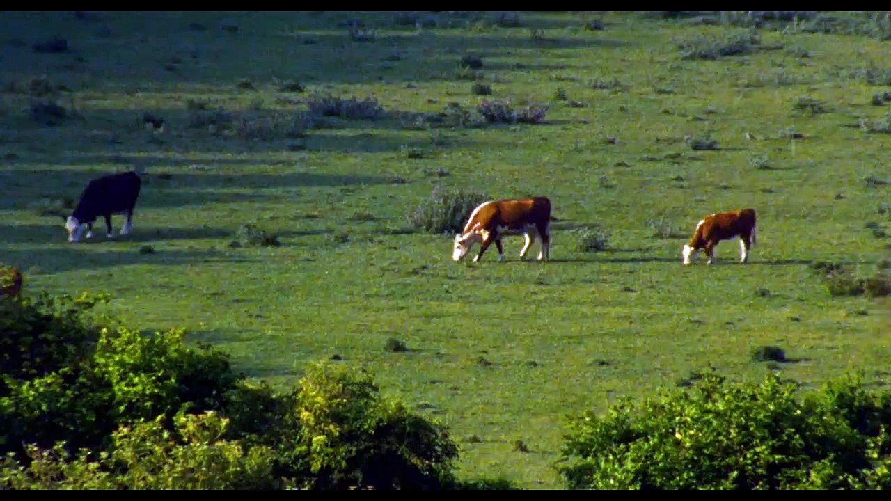 Berberian Sound Studio | movie | 2012 | Official Trailer
