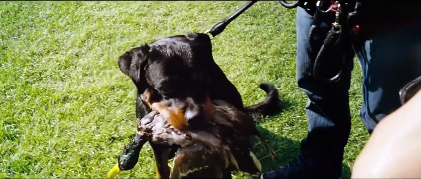 Mann tut was Mann kann | movie | 2012 | Official Trailer