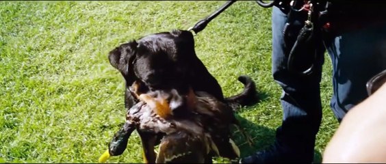 Mann tut was Mann kann | movie | 2012 | Official Trailer