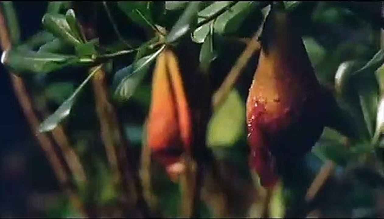 Night Time | movie | 1998 | Official Trailer