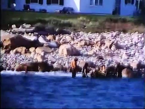 Cocaine Cowboys | movie | 1980 | Official Trailer