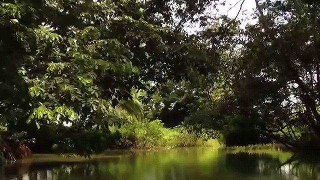 Weltnaturerbe Costa Rica 3D: Guancaste Nationalpark | movie | 2012 | Official Trailer