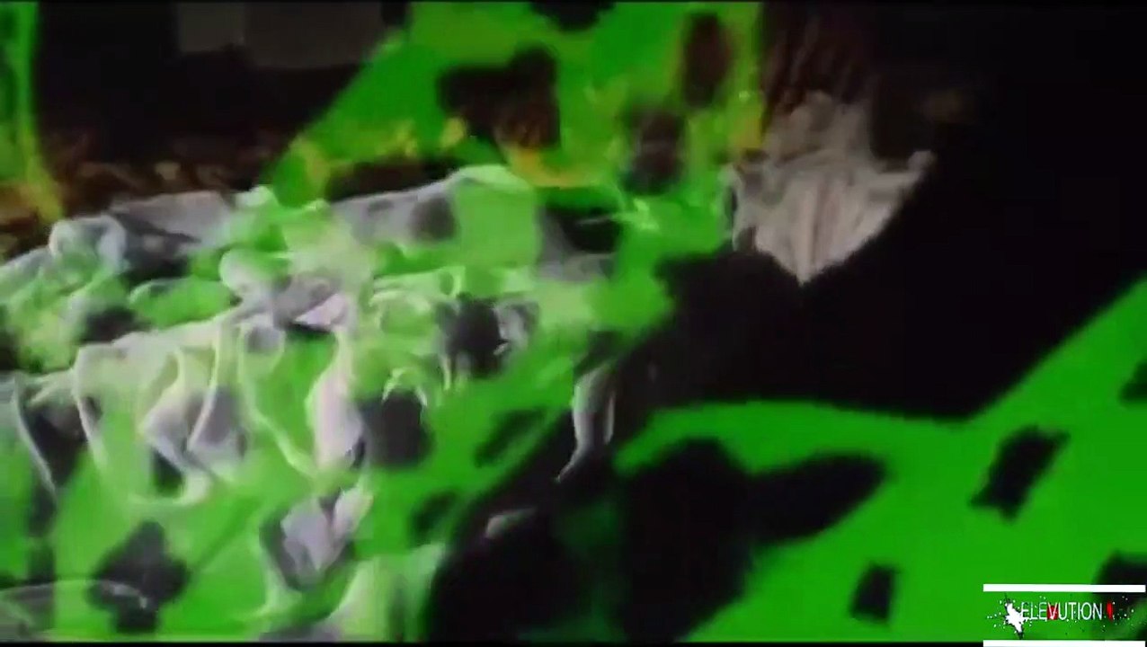 Das schwarze Reptil | movie | 1966 | Official Trailer