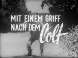 Fuzzy außer Rand und Band | movie | 1940 | Official Trailer