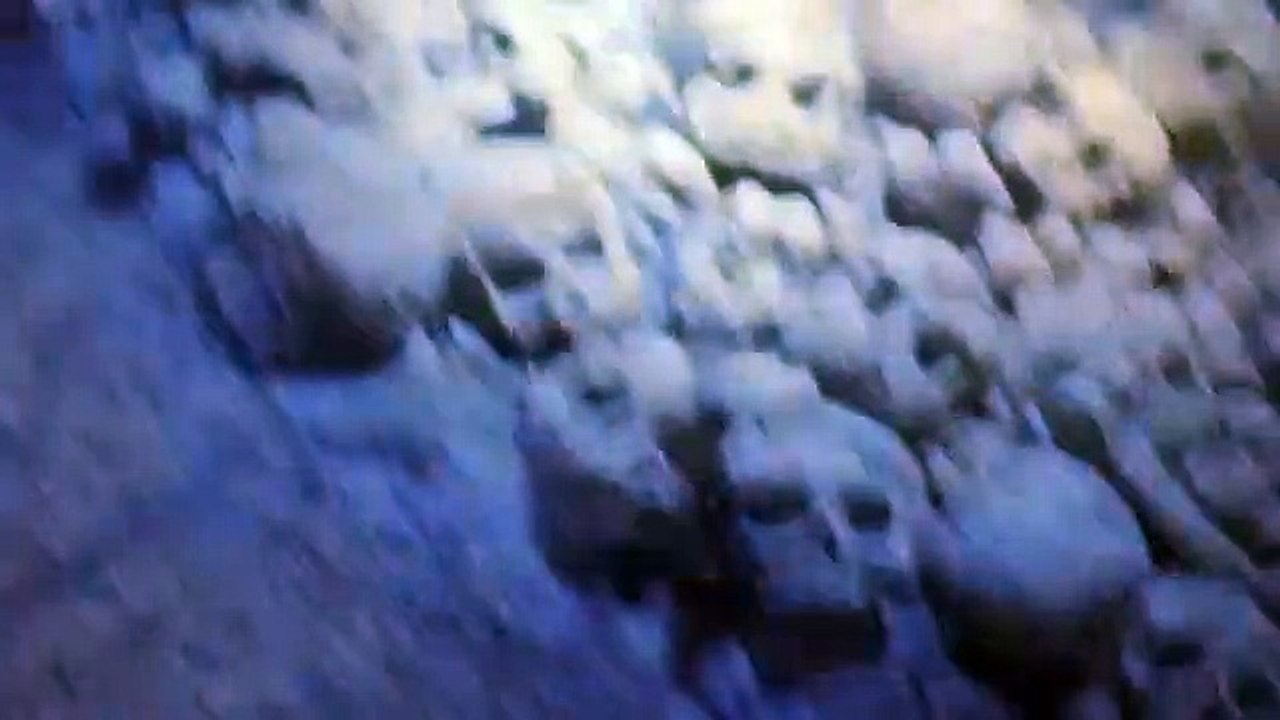 Catacombs - Unter der Erde lauert der Tod | movie | 2007 | Official Trailer