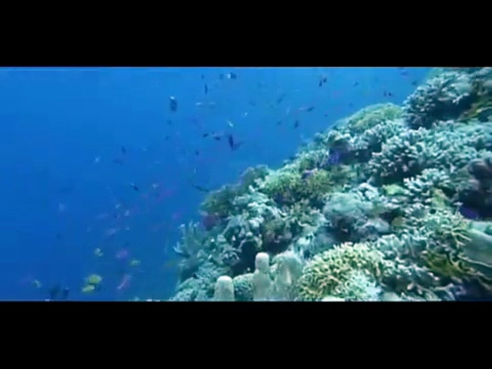 Das Weltnaturerbe - Schätze unserer Erde: Afrika | movie | 2007 | Official Trailer