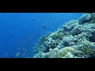 Das Weltnaturerbe - Schätze unserer Erde: Afrika | movie | 2007 | Official Trailer