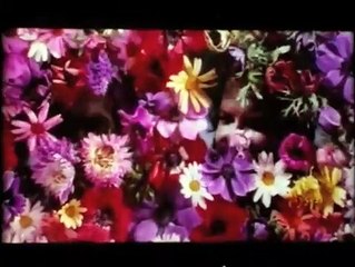 Porgi l'altra guancia | movie | 1974 | Official Trailer