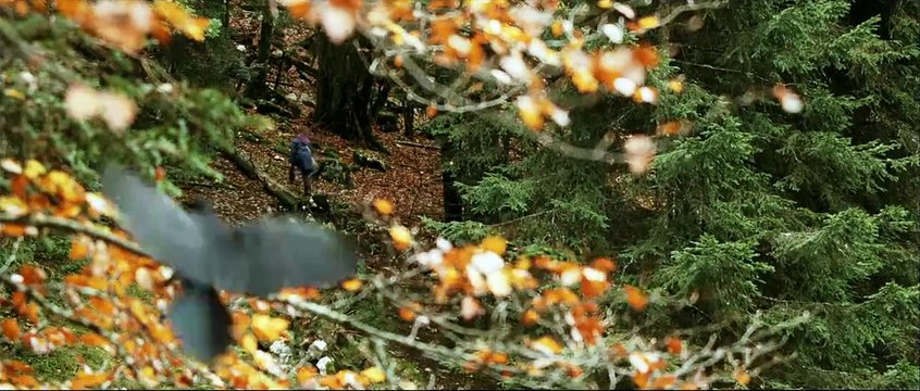 Der Fuchs und das Mädchen | movie | 2007 | Official Trailer