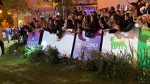 Sanremo 2023: chi mancava sul Green carpet