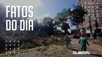 Parte de árvore tomba na Praça Santuário de Nazaré, em Belém