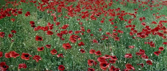 Die Frau aus dem All | movie | 1982 | Official Trailer