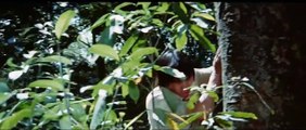 Der Koloss von Konga | movie | 1977 | Official Trailer