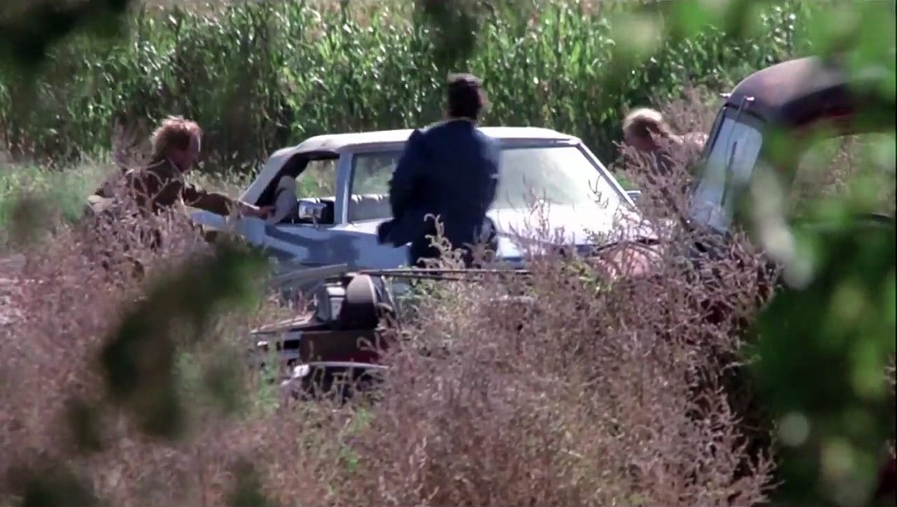 Das Gesetz bin ich | movie | 1974 | Official Trailer