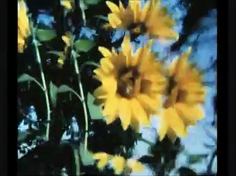 Sommer der Liebe | movie | 1992 | Official Trailer