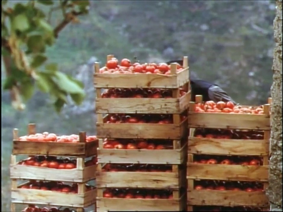 Léolo | movie | 1992 | Official Trailer