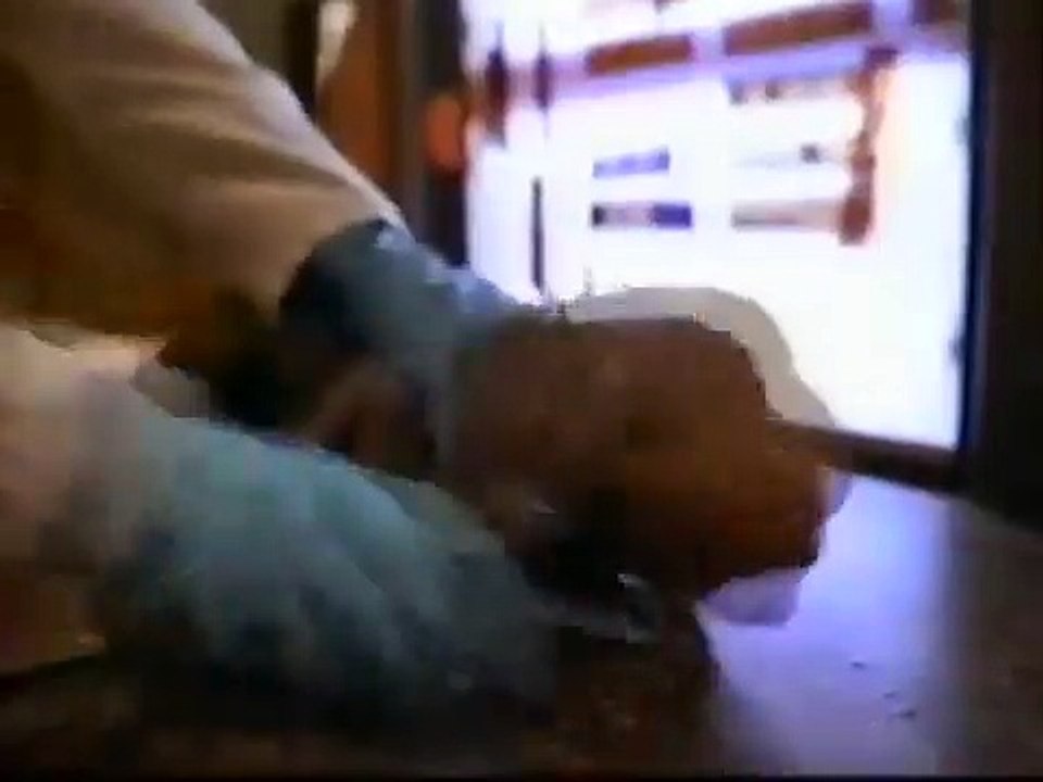 The Thing - Gene außer Kontrolle | movie | 1992 | Official Trailer