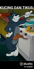 Tomy& Jery