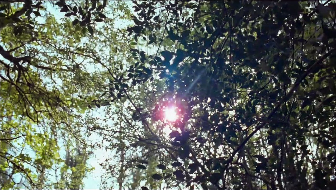 Fräulein Julie | movie | 2014 | Official Trailer