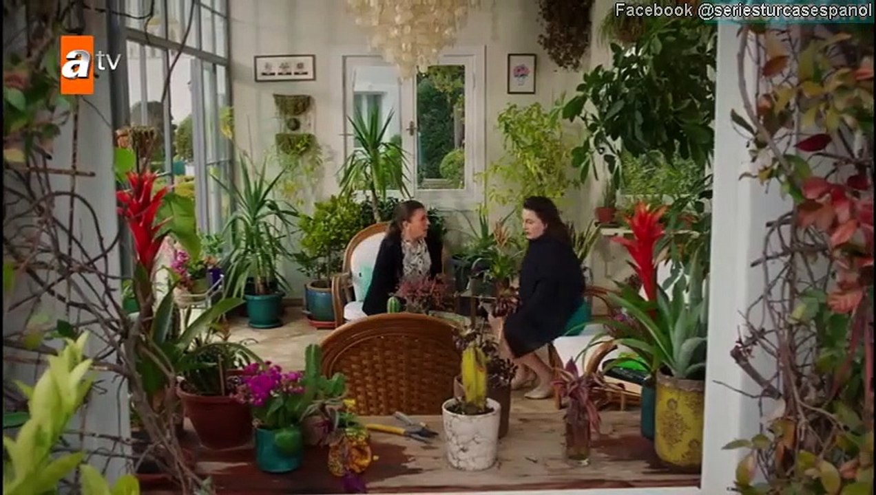 Un Poco de Luz del Sol (Bir Kucuk Gun Isigi) Capitulo 39