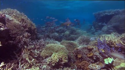 Perla oceánů 3D | movie | 2003 | Official Trailer