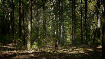 Джеймс Браун: Путь наверх | movie | 2014 | Official Trailer