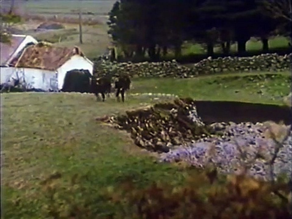 Das Feld | movie | 1990 | Official Trailer