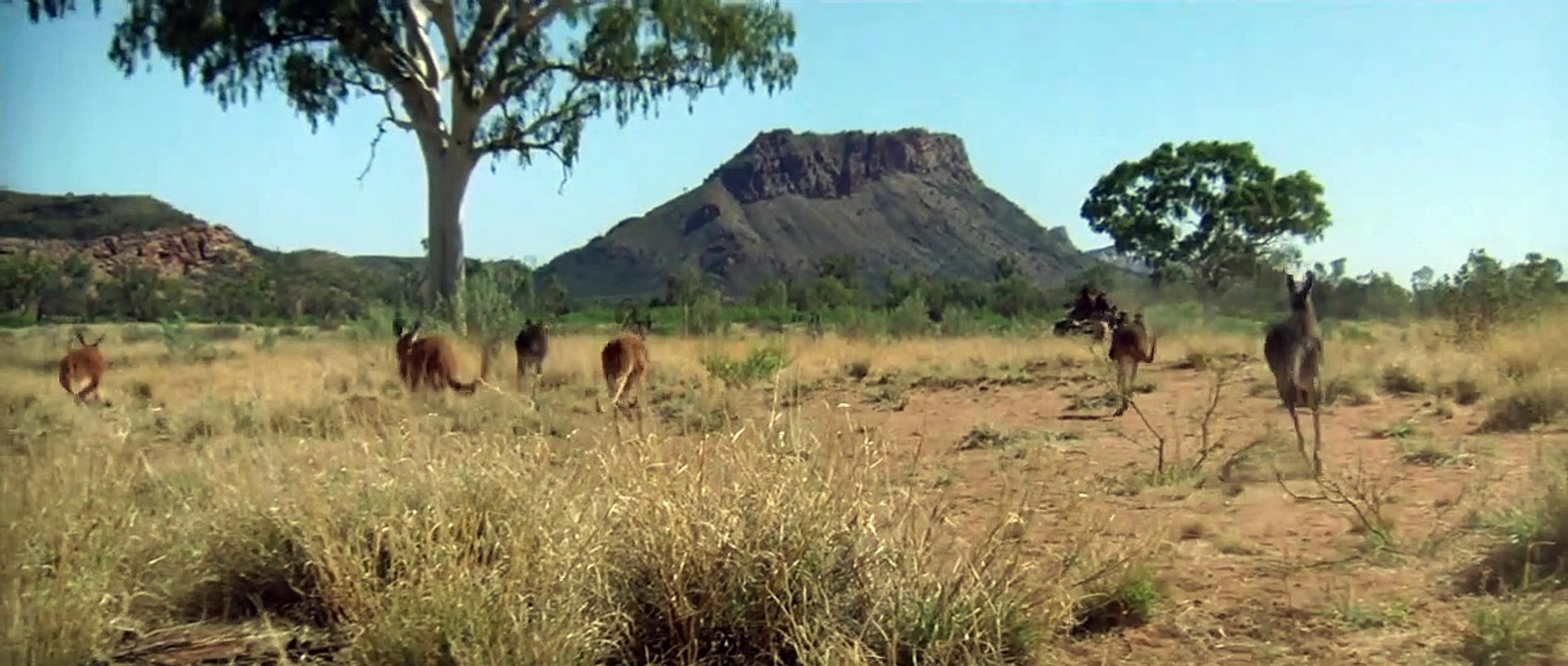 Quigley, der Australier | movie | 1990 | Official Trailer