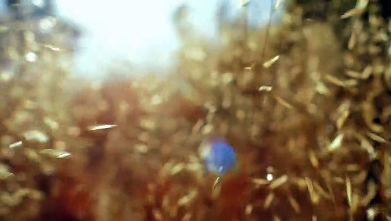 Mr. Jones | movie | 2014 | Official Trailer