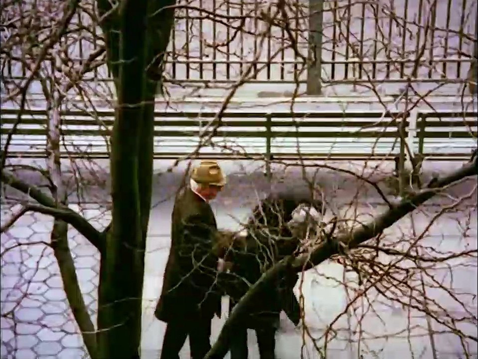 Der Stoff, aus dem die Träume sind | movie | 1972 | Official Trailer